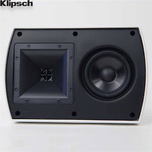 Loa Klipsch AW-500